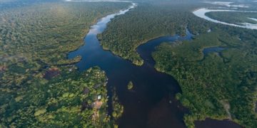 „Amazonia este un uriaș izvor de virusuri”, atrage atenția un cercetător brazilian