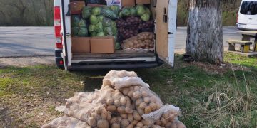 Peste 800 societăţi comerciale şi persoane fizice verificate de poliţiştii specializaţi în investigarea criminalităţii economice, în aprilie