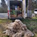Peste 800 societăţi comerciale şi persoane fizice verificate de poliţiştii specializaţi în investigarea criminalităţii economice, în aprilie