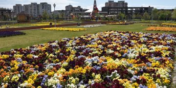 Dr. Viorica Cherecheș: Starea de alertă va aduce NORMALITATE. Starea de incertitudine și chiar de panică pe care am trăit-o mai bine de două luni nu s-a încheiat!