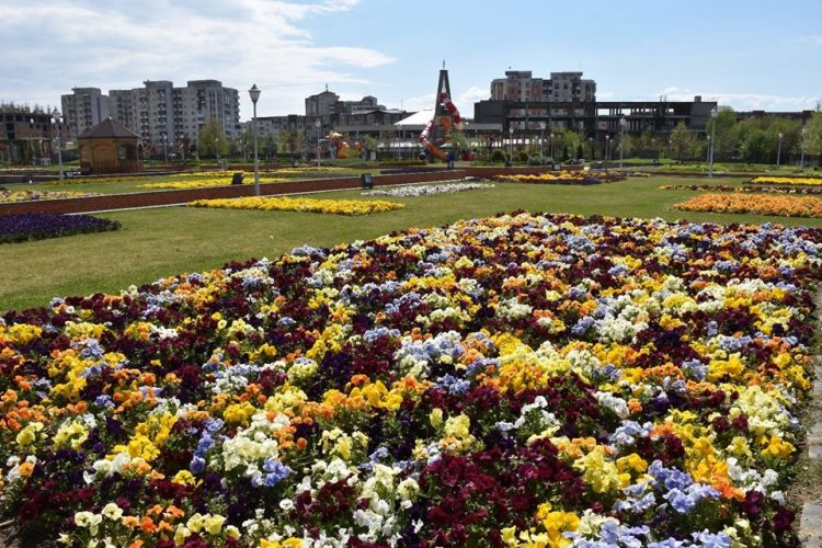 Dr. Viorica Cherecheș: Starea de alertă va aduce NORMALITATE. Starea de incertitudine și chiar de panică pe care am trăit-o mai bine de două luni nu s-a încheiat!