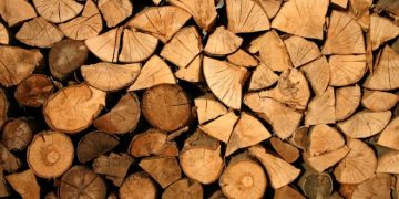 Confiscări de material lemnos la Baia Sprie şi Borşa