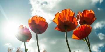 Prognoza meteo până în 7 iunie