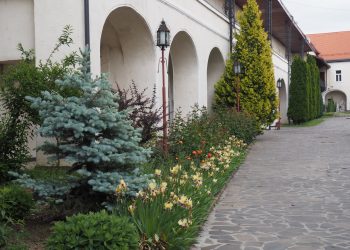 Muzeul Județean de Istorie și Arheologie Maramureș revine la programul iniţial de vizitare, începând din 26 mai