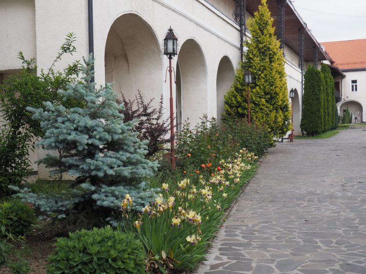 Muzeul Județean de Istorie și Arheologie Maramureș revine la programul iniţial de vizitare, începând din 26 mai