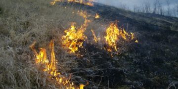 Atenție, puteți fi acuzați de neglijență dacă nu anunțați rapid asta!