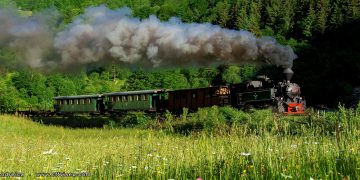 Valea Vaserului, accesibilă din nou pentru turiști. De când își reia Mocănița programul