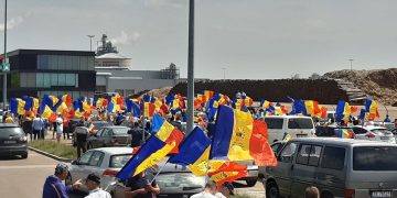 Protest impresionant împotriva tăierilor ilegale de păduri