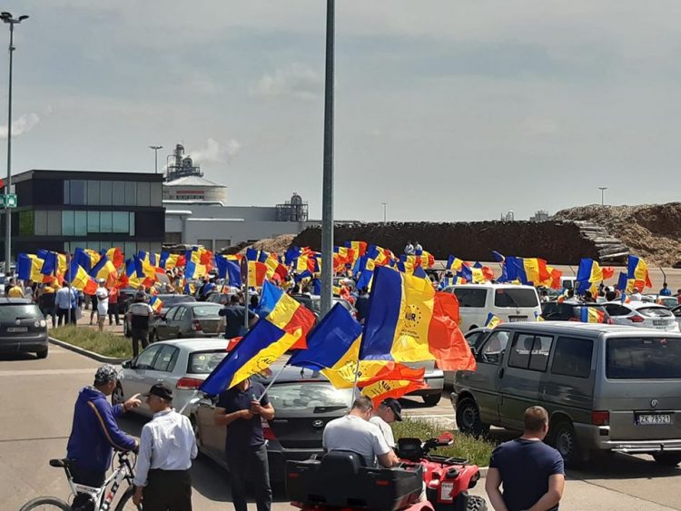 Protest impresionant împotriva tăierilor ilegale de păduri
