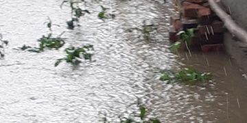 Comuna Șișești a fost grav afectată de ploile torențiale din ultimele zile