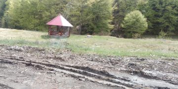 Situație halucinantă în Maramureș: „Ne-au furat asfaltul și nimeni nu face nimic!” 