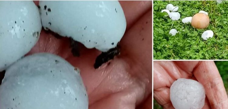 Grindina a făcut prăpăd în Satu Mare: Sperăm să nu ajungă și în Baia Mare