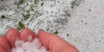 Prăpăd la Ulmeni: grindina a acoperit străzile şi grădinile – GALERIE FOTO