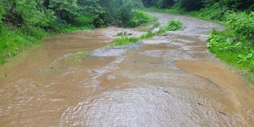 Prăpăd la Borşa! Peste 200 de familii izolate, o parte din oraş fără energie electrică – GALERIE FOTO