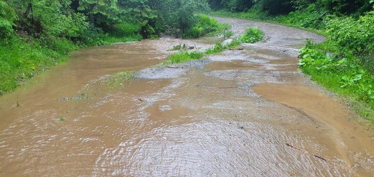 Prăpăd la Borşa! Peste 200 de familii izolate, o parte din oraş fără energie electrică – GALERIE FOTO