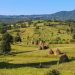 Italia recomandă România pe lista celor mai sigure destinații de vacanță din acest an