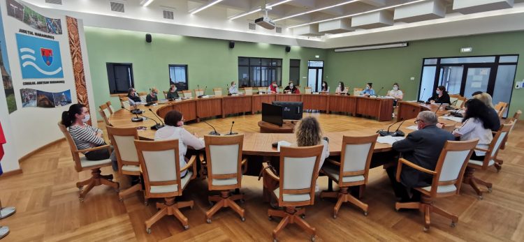 S-a dezbătut metodologia privind depistarea SARS-CoV-2, prin testarea voluntară a 50.000 de maramureșeni