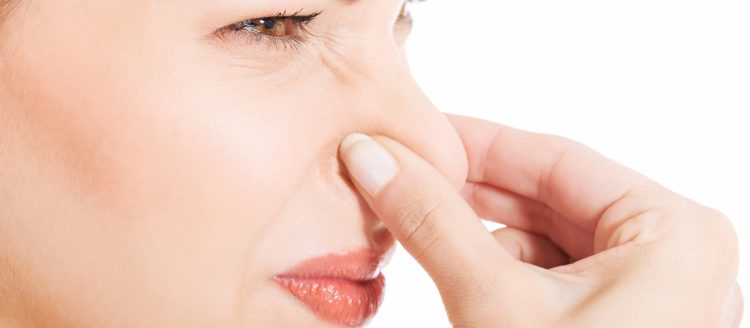 Legea mirosului a fost adoptată de Parlament: primăriile pot interzice orice activitate care generează „disconfort olfactiv” locuitorilor