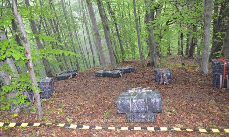 Focuri de armă şi aproximativ 38.500 de pachete cu țigări de contrabandă confiscate la frontiera de nord a României