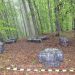 Focuri de armă şi aproximativ 38.500 de pachete cu țigări de contrabandă confiscate la frontiera de nord a României