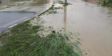 Dezastru la Vișeu de Joș. VIDEO