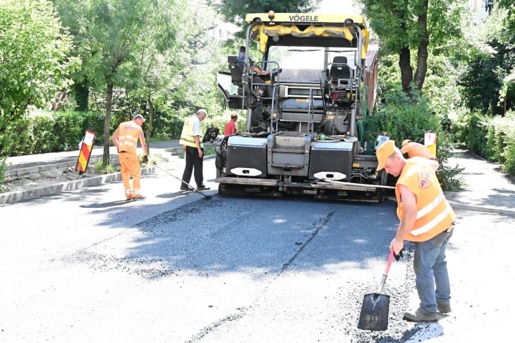 „Când mai vedeți undeva că se plânge vreunul despre ce face și ce nu face Cherecheș, să-l trimiteți la mine, să îi dau de lucru!”