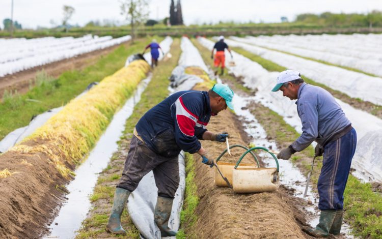 Cum au fentat carantinații controalele. Au reușit să plece la muncă în străinătate de sub nasul autorităților