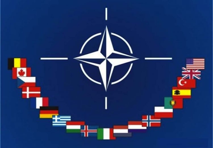 Adunarea Parlamentară a NATO – 65 de ani