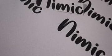 Alianța Nimicului. PNL și USR se aliază împotriva Maramureșului