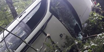 Grav accident rutier la Cerneşti. O femeie şi un copil au ajuns la spital, după ce maşina în care se aflau s-a izbit de un copac – foto