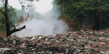 Legea mirosurilor se aplică începând de joi. Ce prevede și care sunt amenzile