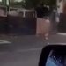 Gol pușcă, un bărbat a fugit din casa amantei și a fost alergat pe străzi de soțul înșelat