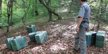 Focuri de armă şi 4.000 de pachete cu ţigări de contrabandă reținute la frontiera de nord