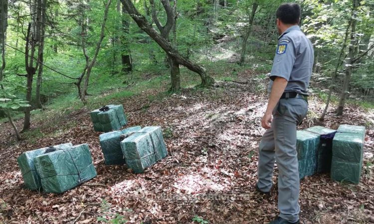 Focuri de armă şi 4.000 de pachete cu ţigări de contrabandă reținute la frontiera de nord