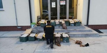 Peste 34.000 de pachete cu țigări de contrabandă, depistate la graniţa cu Ucraina
