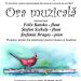 „Ora Muzicală” – concert în aer liber, susținut de profesorii Colegiului de Arte Baia Mare