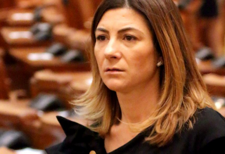 Inițiatoarea legii contra pedofililor: “Ministerul Justiţiei a fost cea mai mare piedică. Ni s-a spus că nu putem mări pedepsele, pentru că stricăm algoritmul Codului Penal”