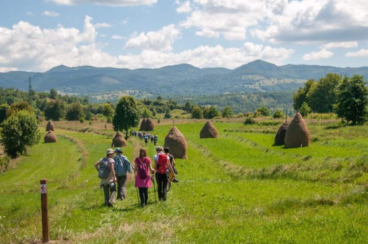 Maramureșul luat la pas în weekend. Drumeție pe Valea Măriei
