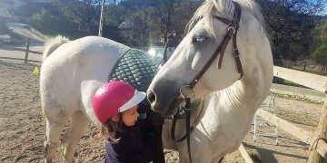 Vacanță în mișcare – tabere de vară de zi organizate la Centrul de Echitație Curtuiușul Mare