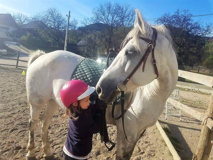 Vacanță în mișcare – tabere de vară de zi organizate la Centrul de Echitație Curtuiușul Mare