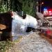 Grav accident rutier pe Valea Borcutului. Patru victime, după ce o maşină s-a răsturnat – FOTO