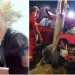 Cristian a murit pe loc, iar iubita lui este în comă după ce s-au înfipt cu mașina într-un stâlp