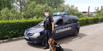 Efectivele Jandarmeriei Maramureş, la datorie în weekend