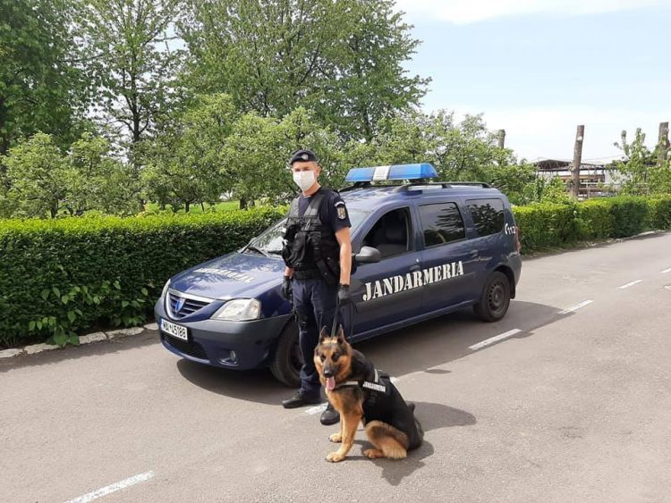 Efectivele Jandarmeriei Maramureş, la datorie în weekend