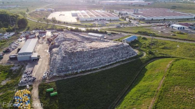 Grevă la firma de salubritate din Baia Mare