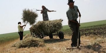 31 august, termen final de vizare a carnetelor de rentă viageră