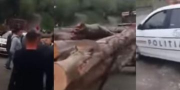 Revoltă de proporții la Poienile de Sub Munte. Direcția Silvică a instalat o barieră menită să oprească camioanele cu lemn, tocmai în mijlocul unui drum public