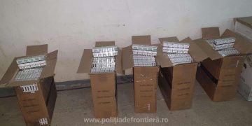 Contrabandă la Sarasău, cu urmărire și maşină ticsită cu ţigări abandonată într-un lan de porumb