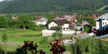 Cazuri de COVID-19 în Țara Lăpușului