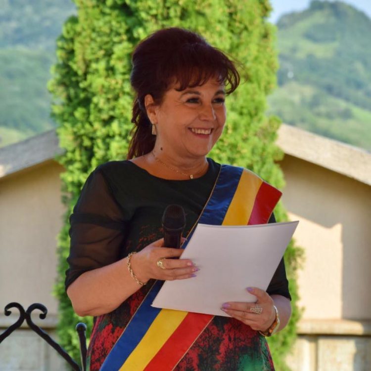 „Podul de la Someș prinde culoare, la propriu” – anunță primarul orașului Seini